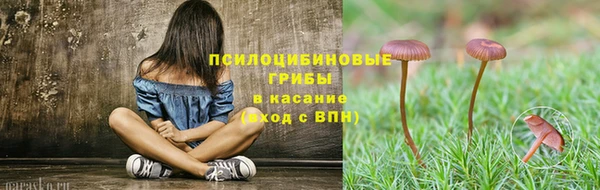 мет Бикин