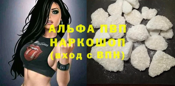 стаф Билибино